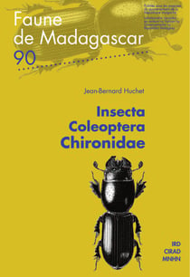Insecta coleoptera chironidae