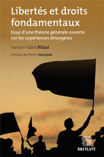 Libertés et droits fondamentaux - essai d'une théorie générale ouverte sur les expériences étrangères