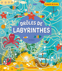 Drôles de labyrinthes