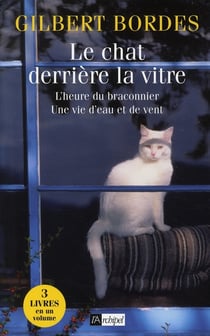 Le chat derrière la vitre
