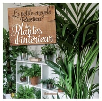 Petite encyclo Rustica des plantes d'intérieur