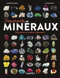 Fascinants minéraux : 56 pierres et roches à découvrir