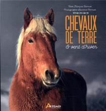 Chevaux de terre et vent d'hiver