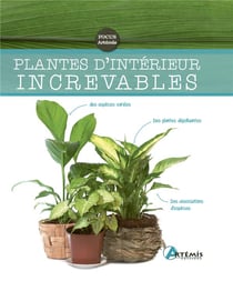 Plantes d'intérieur increvables