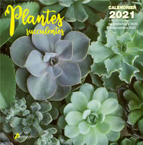 Calendrier plantes succulentes 2021 (édition 2021)