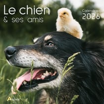 Le chien et ses amis (édition 2026)