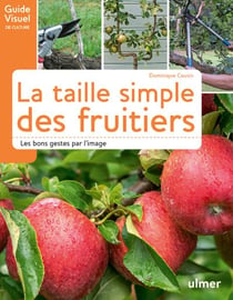 La taille simple des fruitiers - les bons gestes par l'image