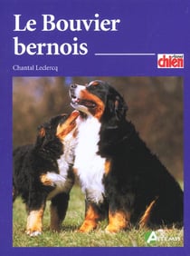 Le bouvier bernois