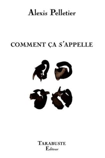 Comment ca s'appelle - alexis pelletier