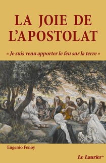 La joie de l'apostolat - je suis venu apporter le feu sur la terre