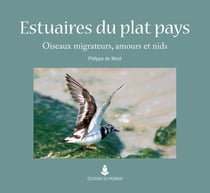 Estuaires du plat pays