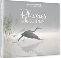 Plumes de brume : instants nature sur le lac de Bambois