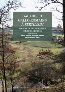 Gaulois et Gallo-Romains à Vertillum Tome 1 - 160 ans de découvertes archéologiques