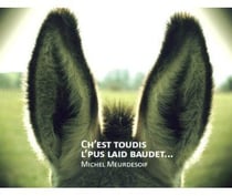 Ch'est toudis l'pus laid baudet...