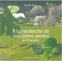 À la recherche de nos arbres perdus en Provence