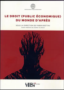 Le droit (public économique) du monde d'après