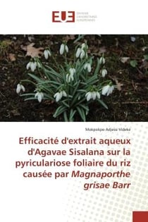 Efficacité d'extrait aqueux d'Agavae Sisalana sur la pyriculariose foliaire du riz