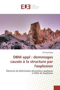 DBM appl : dommages causés à la structure par l'explosion : Éléments de délimitation discontinus appliqués à l'effet de l'explosion