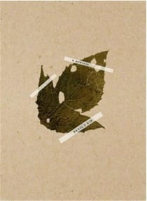 Mateusz Kowalik : Devil s rib