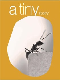 Fernando Maquieira : A tiny story