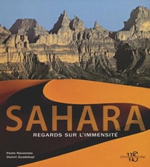 Sahara - regards sur l'immensite