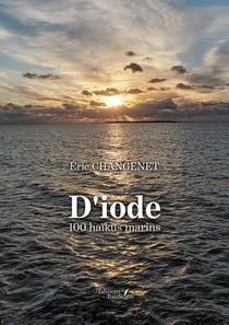 D'iode : 100 haïkus marins