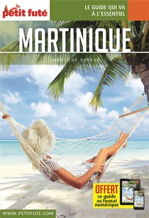 Carnet de voyage : Martinique (édition 2019)
