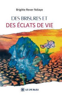 Des brisures et des éclats de vie