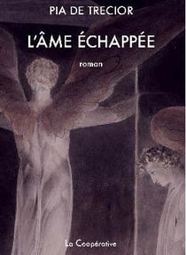 L'Âme échappée : roman