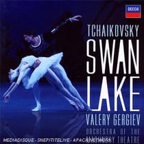 Le lac des cygnes