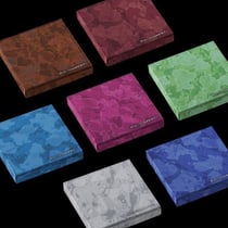 THE SIN : VANISH (FUGITIVE Version)