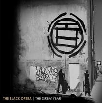 The great year