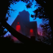 The Host - édition gatefold