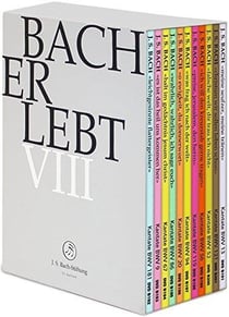 Bach erlebt viii