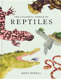 The Colorful World Of Reptiles