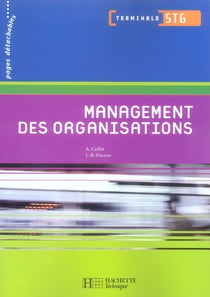 Management des organisations - stg
