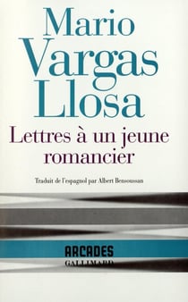 Lettres à un jeune romancier