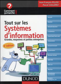 Tout sur le système d'information - grandes, moyennes et petites entrprises (3e édition)