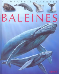Les baleines