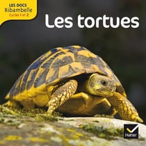 LES DOCS RIBAMBELLE : les tortues - cycle 2