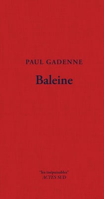 Baleine
