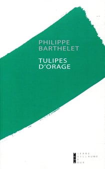 Tulipes d'orage