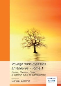 Voyage dans mes vies antérieures Tome 1 : Passé, présent, futur, le chemin pour se comprendre