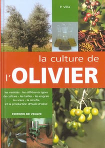 Culture de l'olivier (la)