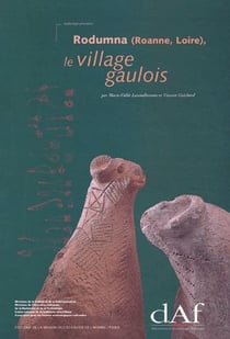 Rodumna (Roanne, Loire) - le village gaulois