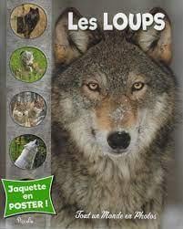 Tout un monde en photos : les loups