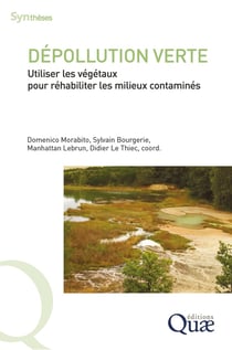 Dépollution verte : Utiliser les végétaux pour réhabiliter les milieux contaminés