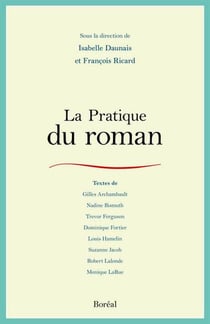 La pratique du roman