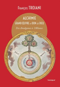 Alchimie grand oeuvre et don de dieu : des Amalgames à l'Alliance