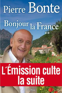 Bonjour la France Tome 2